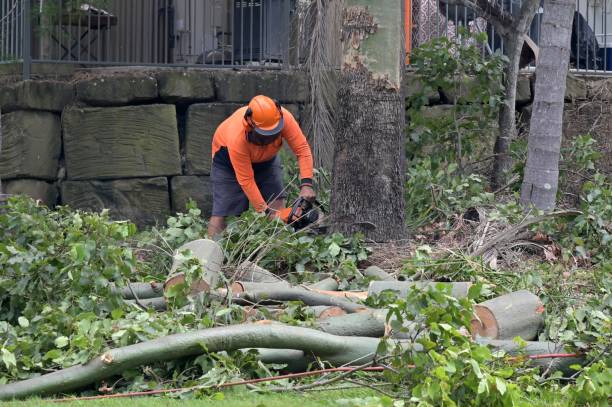 Stroud, OK Tree Service Company